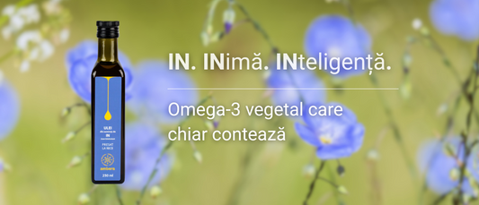 Secretul longevității din semințele de in: cum un singur ulei poate revoluționa sănătatea ta