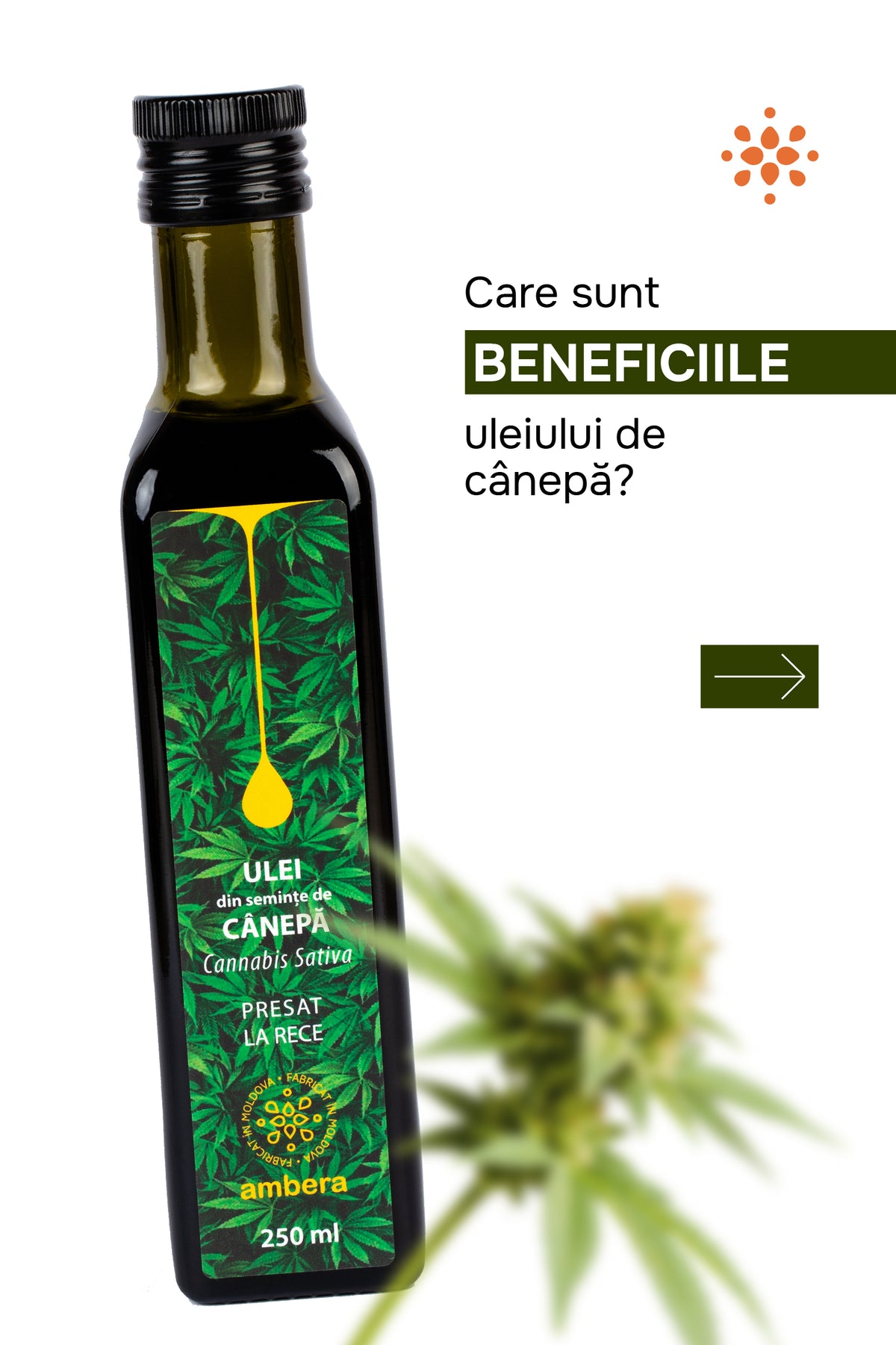 Ulei din semințe de cânepă