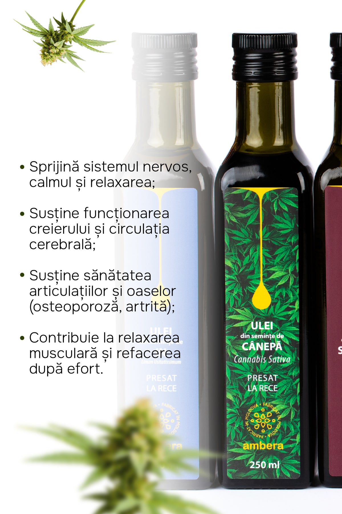 Ulei din semințe de cânepă